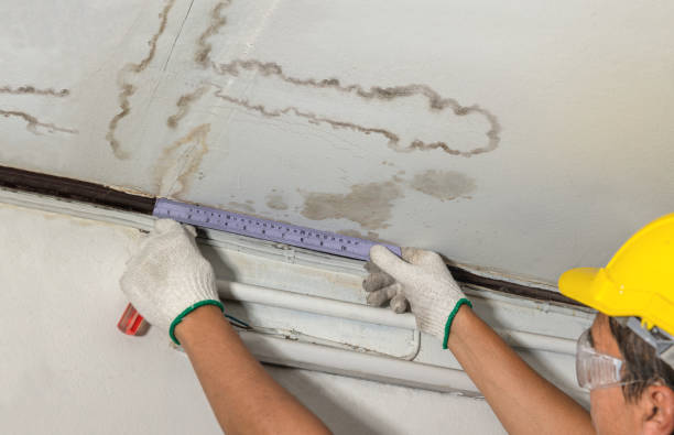 Reliable Water Damage contractor in Burt, MI by Water Damage Irwin